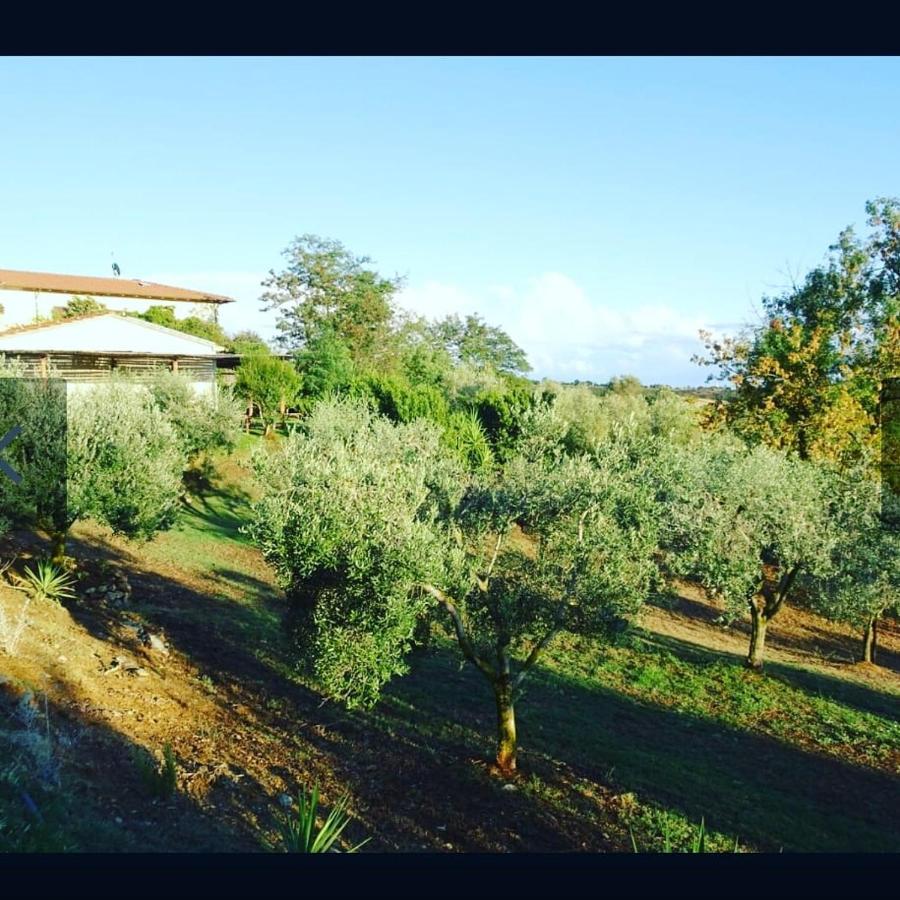 Agriturismo Colleverde カパルビオ エクステリア 写真