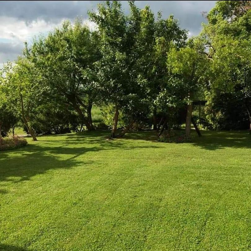 Agriturismo Colleverde カパルビオ エクステリア 写真