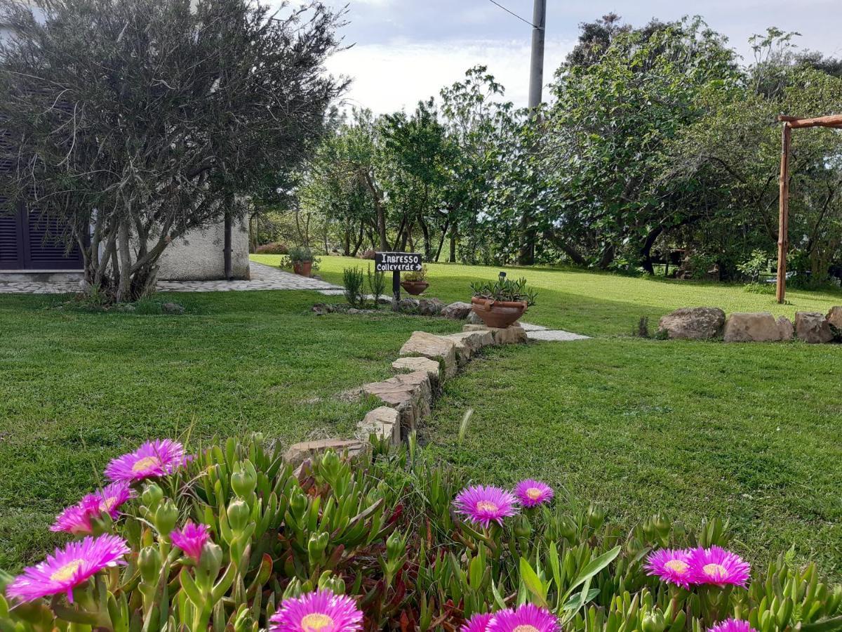 Agriturismo Colleverde カパルビオ エクステリア 写真