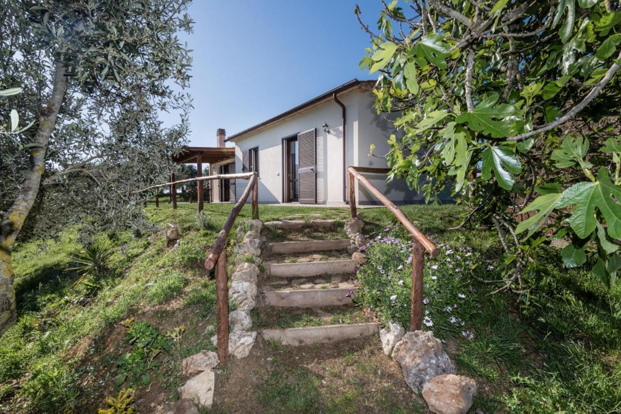 Agriturismo Colleverde カパルビオ エクステリア 写真