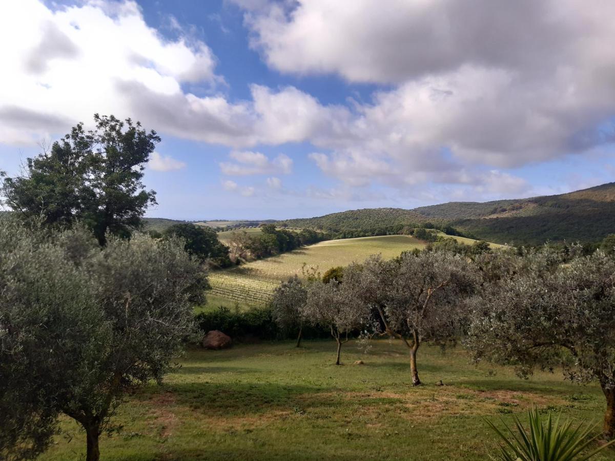 Agriturismo Colleverde カパルビオ エクステリア 写真