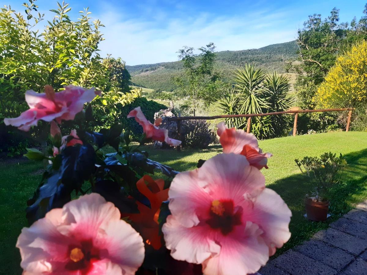 Agriturismo Colleverde カパルビオ エクステリア 写真
