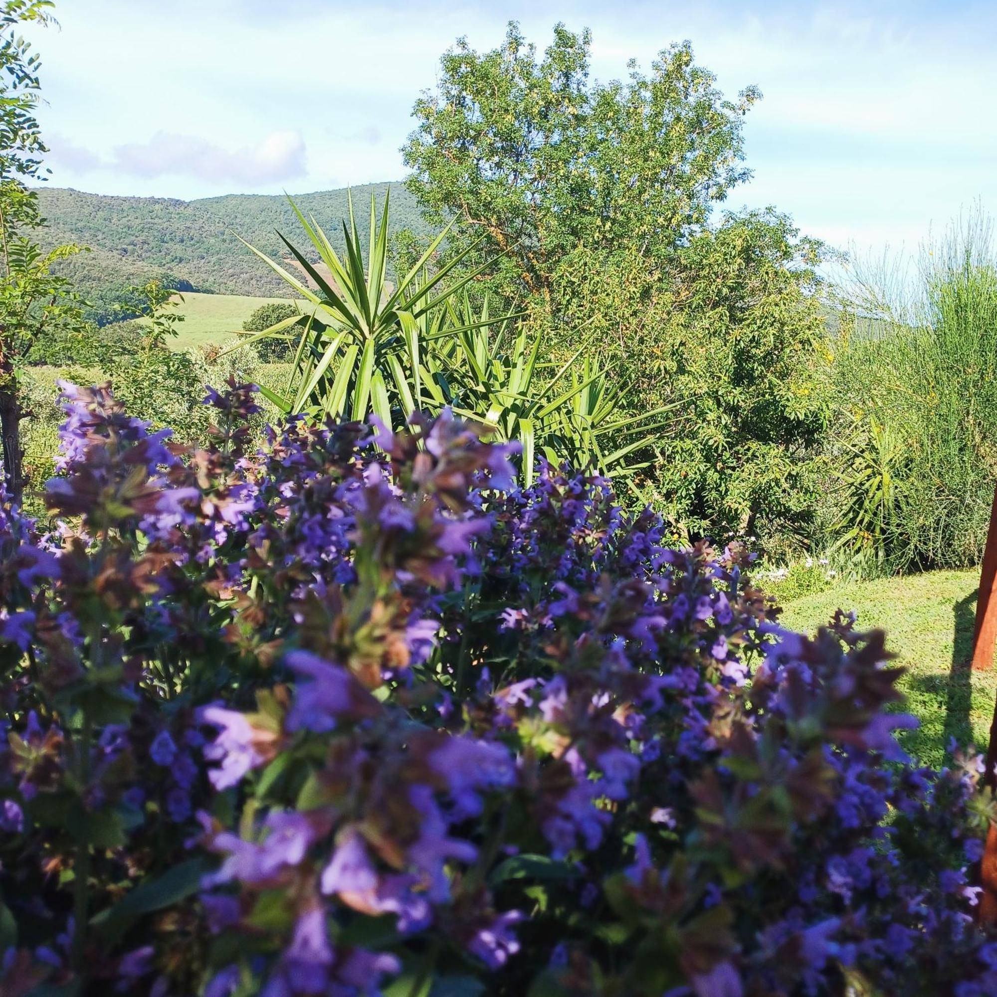 Agriturismo Colleverde カパルビオ エクステリア 写真