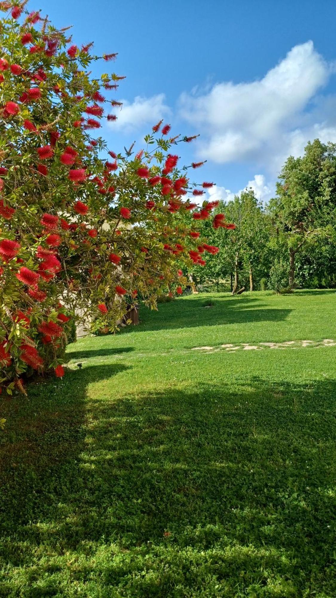 Agriturismo Colleverde カパルビオ エクステリア 写真