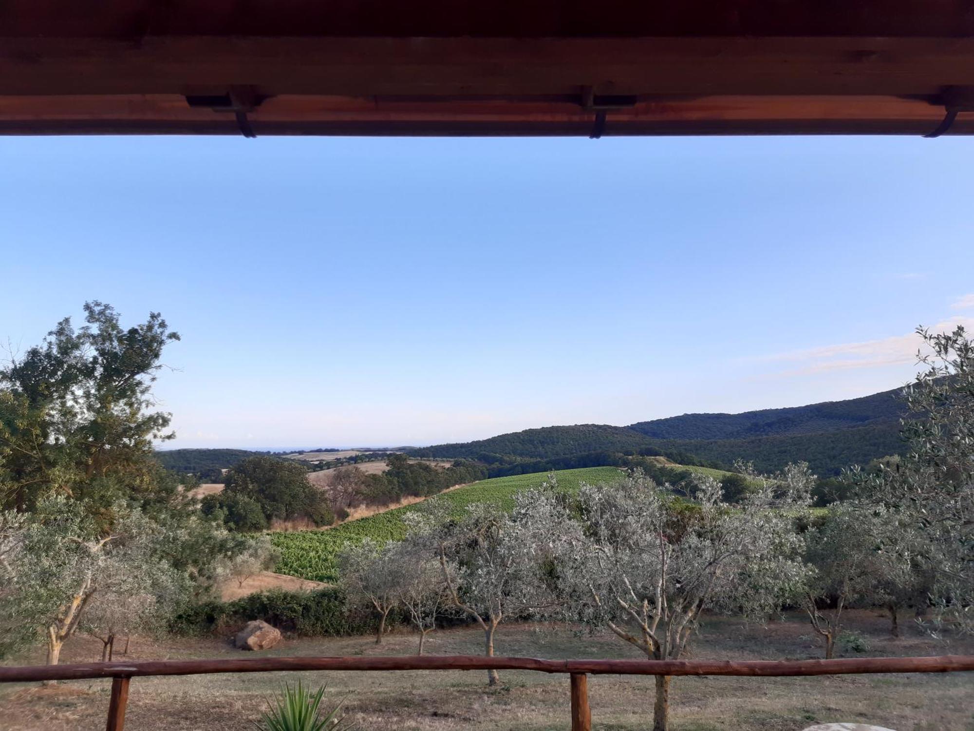 Agriturismo Colleverde カパルビオ 部屋 写真