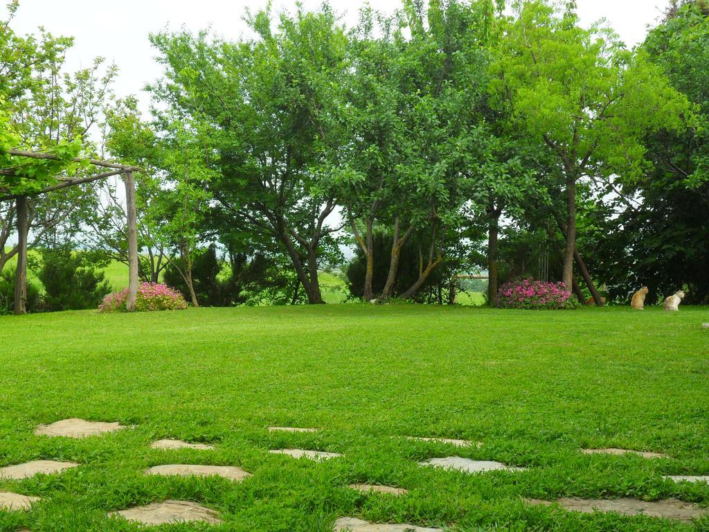 Agriturismo Colleverde カパルビオ エクステリア 写真