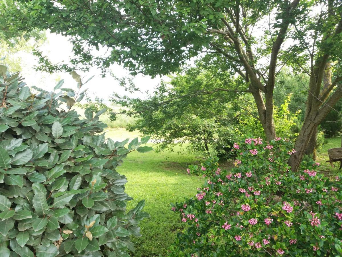 Agriturismo Colleverde カパルビオ エクステリア 写真